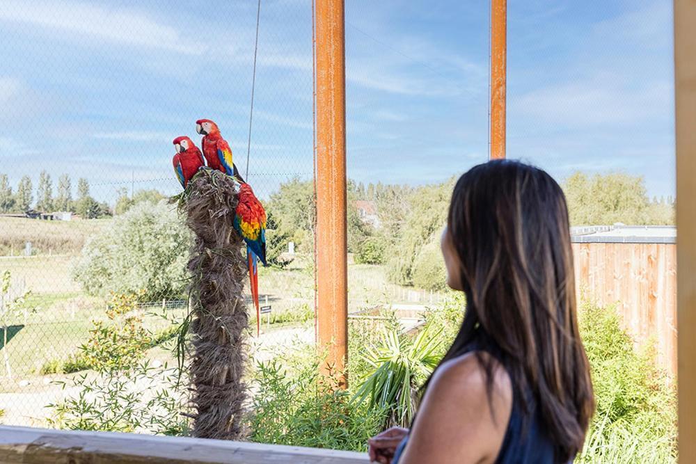 Parrot World - Les Lodges Crecy-la-Chapelle Екстер'єр фото