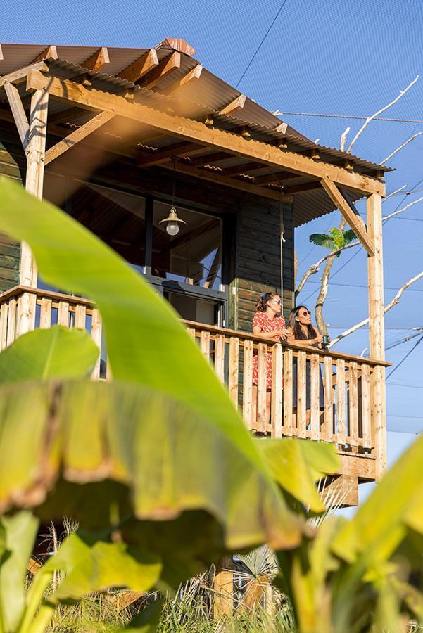 Parrot World - Les Lodges Crecy-la-Chapelle Екстер'єр фото